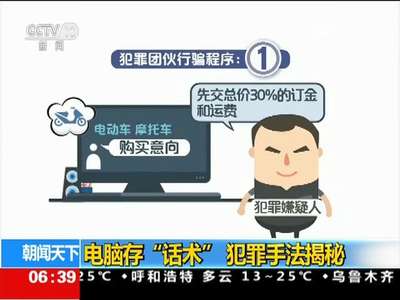 [视频]电脑存“话术” 犯罪手法揭秘