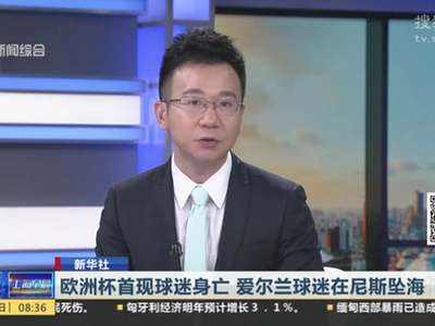 [视频]欧洲杯首现球迷身亡 爱尔兰球迷在尼斯坠海