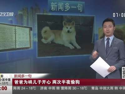 [视频]爸爸为哄儿子开心 两次半夜偷狗