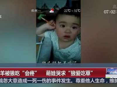 [视频]担心羊被狼吃“会疼” 萌娃哭求“狼爱吃草”