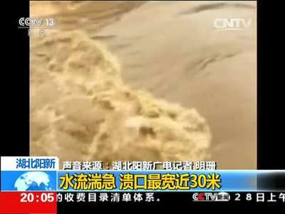 [视频]湖北阳新：强降雨致堤坝溃口 数万人受影响