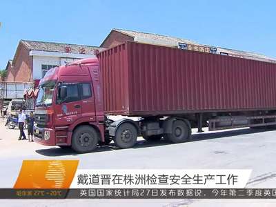 戴道晋在株洲检查安全生产工作