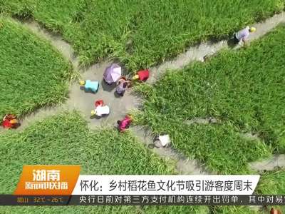 怀化：乡村稻花鱼文化节吸引游客度周末
