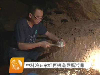 中科院专家组再探道县福岩洞