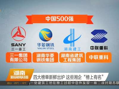 四大榜单新鲜出炉 这些湘企“榜上有名”