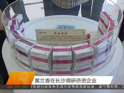 黄兰香在长沙调研侨资企业