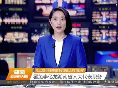 省人大常委会代表资格审查委员会向省人大常委会提出报告 罢免李亿龙湖南省人大代表职务