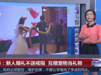 [视频]吉林：新人婚礼不送戒指 互赠宠物当礼物