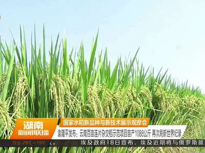 国家水稻新品种与新技术展示观摩会召开