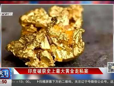 [视频]印度破获史上最大黄金走私案