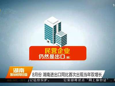 8月份 湖南进出口同比首次出现当年双增长