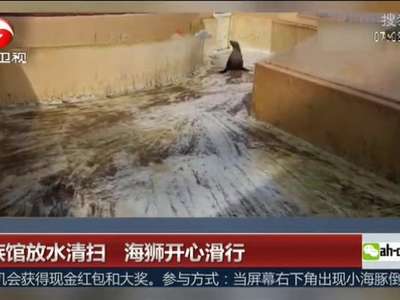 [视频]水族馆放水清扫 海狮开心滑行