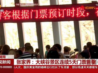 张家界：大峡谷景区连续5天门票告罄