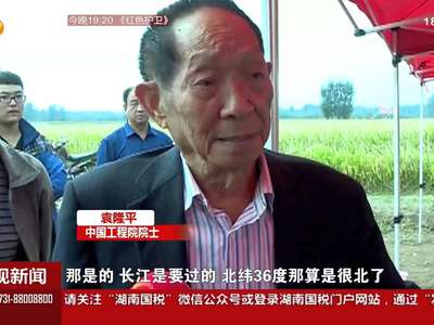 第五期超级稻每公顷15.2吨 刷新高纬度地区产量新记录