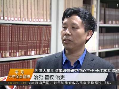 尊崇党章 依规治党