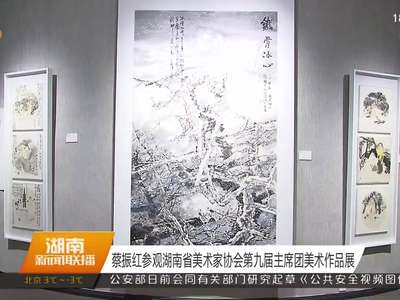 蔡振红参观湖南省美术家协会第九届主席团美术作品展