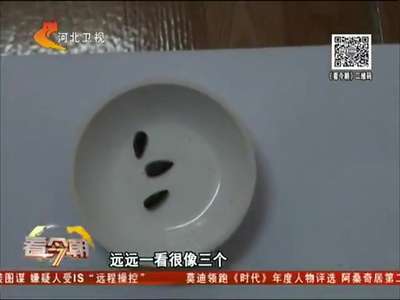 [视频]路边的“瓜子”不要猜 民警揭秘“猫腻”所在