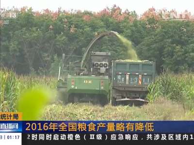 [视频]国家统计局 2016年全国粮食产量略有降低