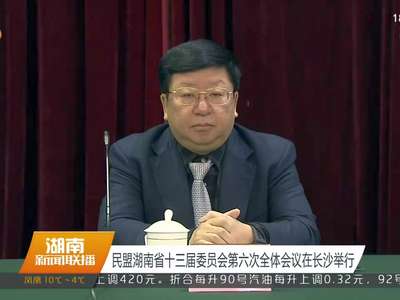 民盟湖南省十三届委员会第六次全体会议在长沙举行