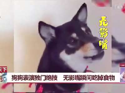 [视频]狗狗表演独门绝技 无影嘴瞬间吃掉食物