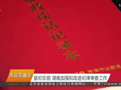 挺纪在前 湖南加强和改进纪律审查工作