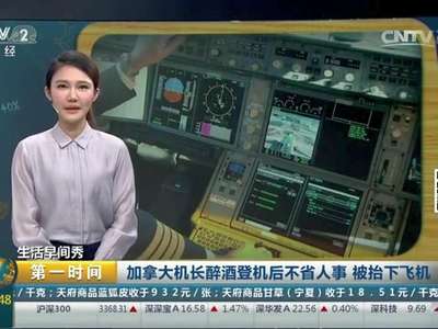 [视频]加拿大机长醉酒登机后不省人事 被抬下飞机