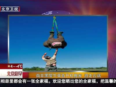 [视频]南非黑犀牛乘直升机搬家 游走云端