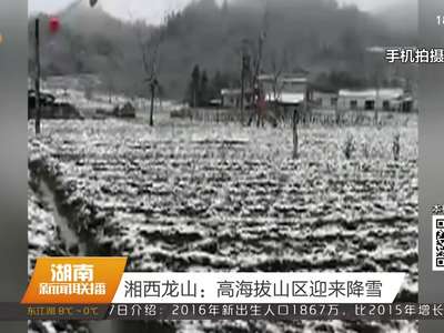 湘西龙山：高海拔山区迎来降雪