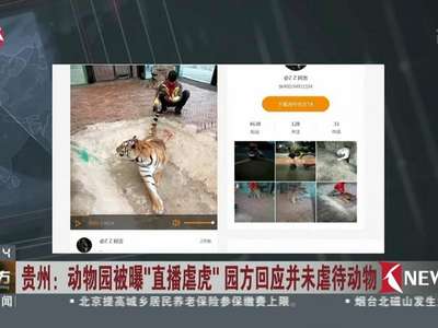 [视频]贵州动物园被曝“直播虐虎” 园方回应:饲养员与幼虎嬉戏