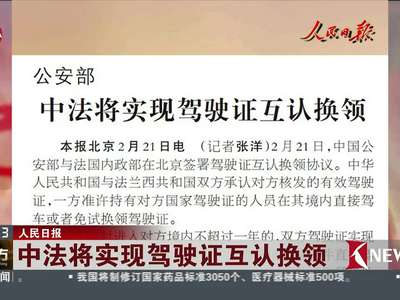 [视频]公安部：中法将实现驾驶证互认换领
