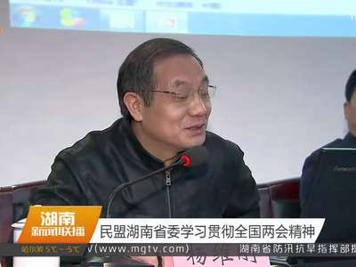 民盟湖南省委学习贯彻全国两会精神