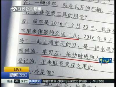 [视频]荒唐的“致富梦”：网上搭伙 假装嫖客抢劫失足女