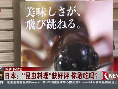 [视频]日本：“昆虫料理”获好评 你敢吃吗？