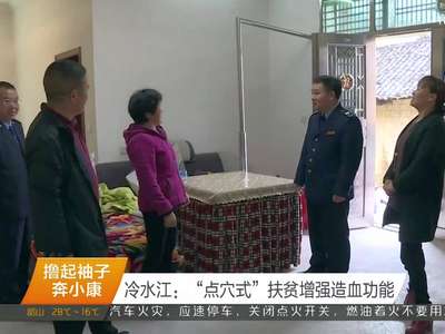 冷水江：“点穴式”扶贫增强造血功能