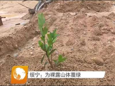 绥宁：为裸露山体覆绿