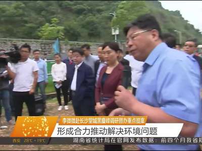 李微微赴长沙望城黑麋峰调研督办重点提案 形成合力推动解决环境问题