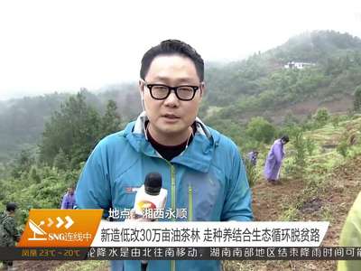 新造低改30万亩油茶林 走种养结合生态循环脱贫路