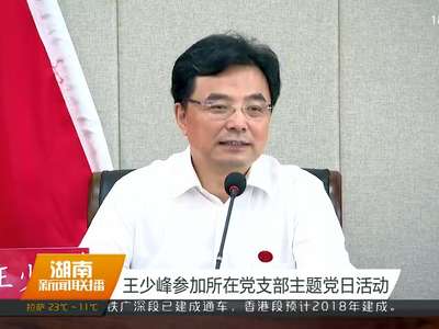 王少峰参加所在党支部主题党日活动