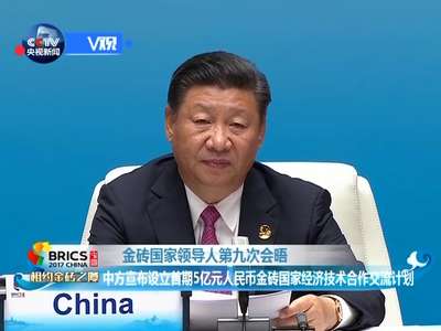 [视频]中方宣布设立首期5亿元人民币金砖国家经济技术合作交流计划
