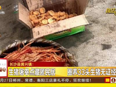 生猪屠宰点藏匿民居 圈养33头生猪无证经营