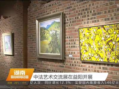 中法艺术交流展在益阳开展