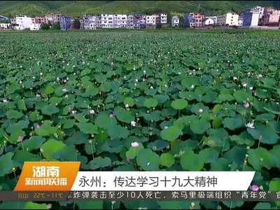 永州：传达学习十九大精神