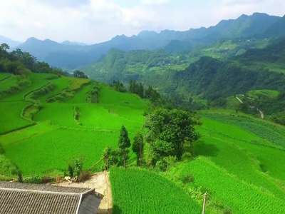 《我们向往的美好生活》“国际张”的Style（一）：你竟是这样的张家界