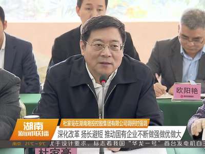 杜家毫在湖南湘投控股集团有限公司调研时强调 深化改革 扬长避短 推动国有企业不断做强做优做大