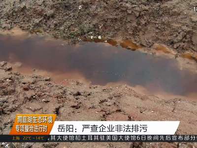 岳阳：严查企业非法排污
