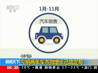 [视频]中汽协：今明两年车市微增长已成定局