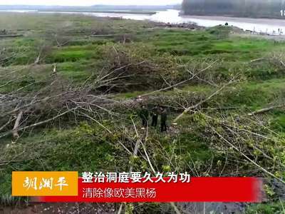 胡湘平：整治洞庭要久久为功