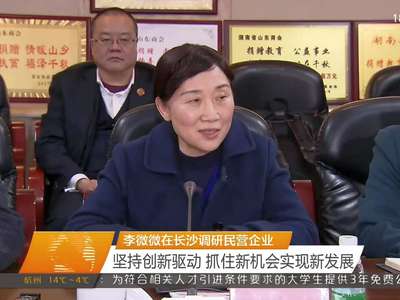 李微微在长沙调研民营企业 坚持创新驱动 抓住新机会实现新发展