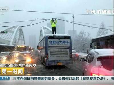 [视频]安徽合肥：“托举哥”雪中托电缆保道路畅通