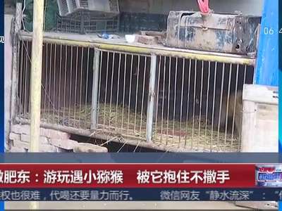 [视频]小伙游玩遇小猕猴 被它抱住不撒手